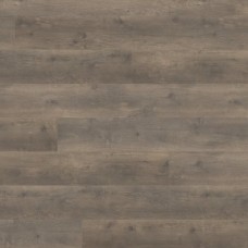 Oak Bergamo Carbon